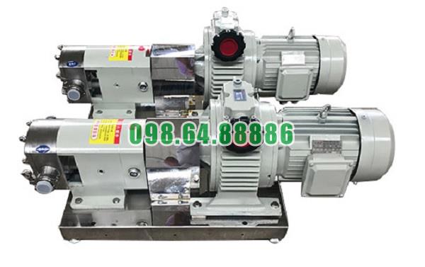 Máy bơm lobe 3RP-5 công suất 1.5kW áp suất 0.6 MPa